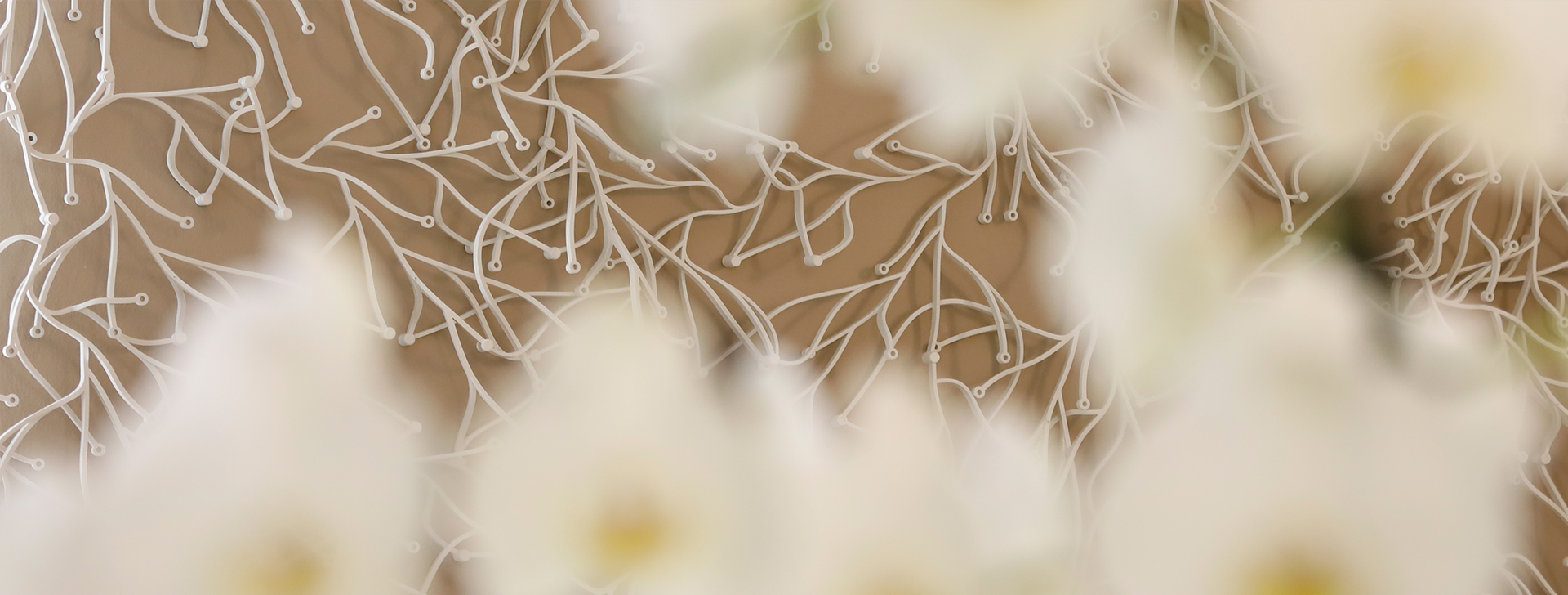 Zahnaerzte_am_Augustaplatz_Beiträge