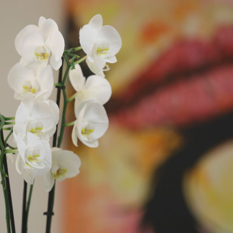 Zahnaerzte_am_Augustaplatz_Saeure_Base_Kachel Zahnaerzte_am_Augustaplatz_Saeure_Base_Kachel